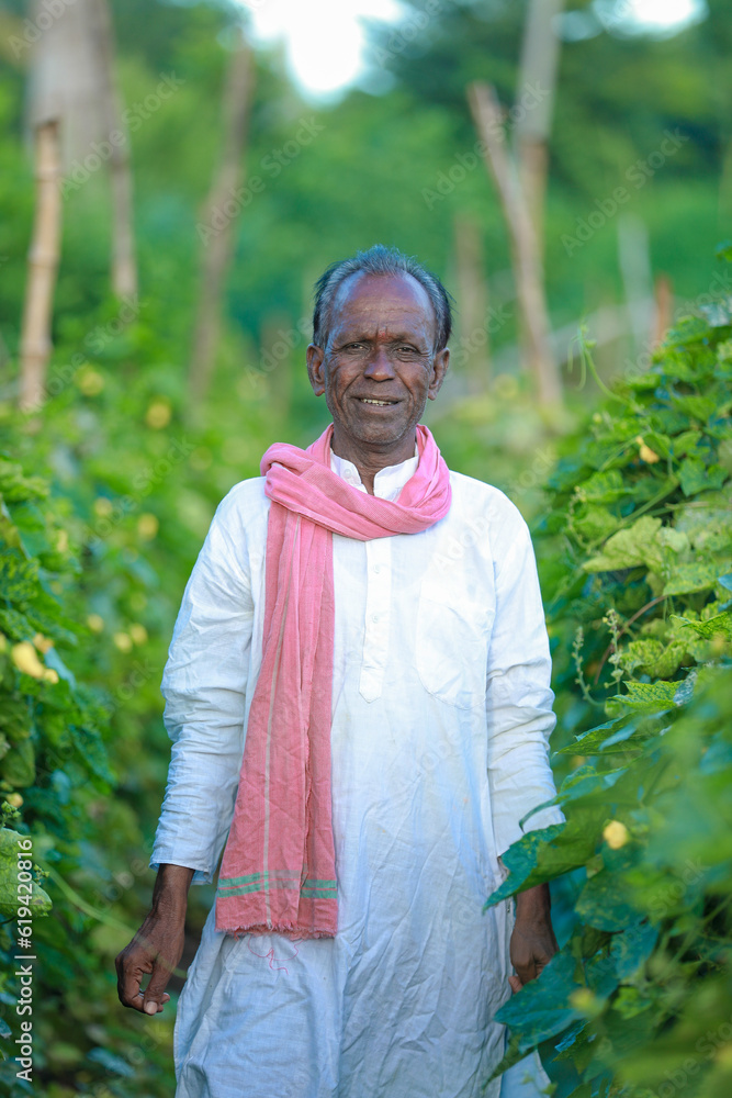 Indian farming Happy indian farmer standing in farm, farmer in farm Indian farming Happy indian farmer standing in farm, farmer in farm