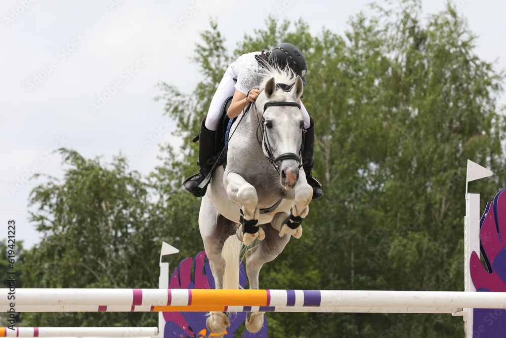 horse and rider on a horse in show jumping competition Stock Photo ...