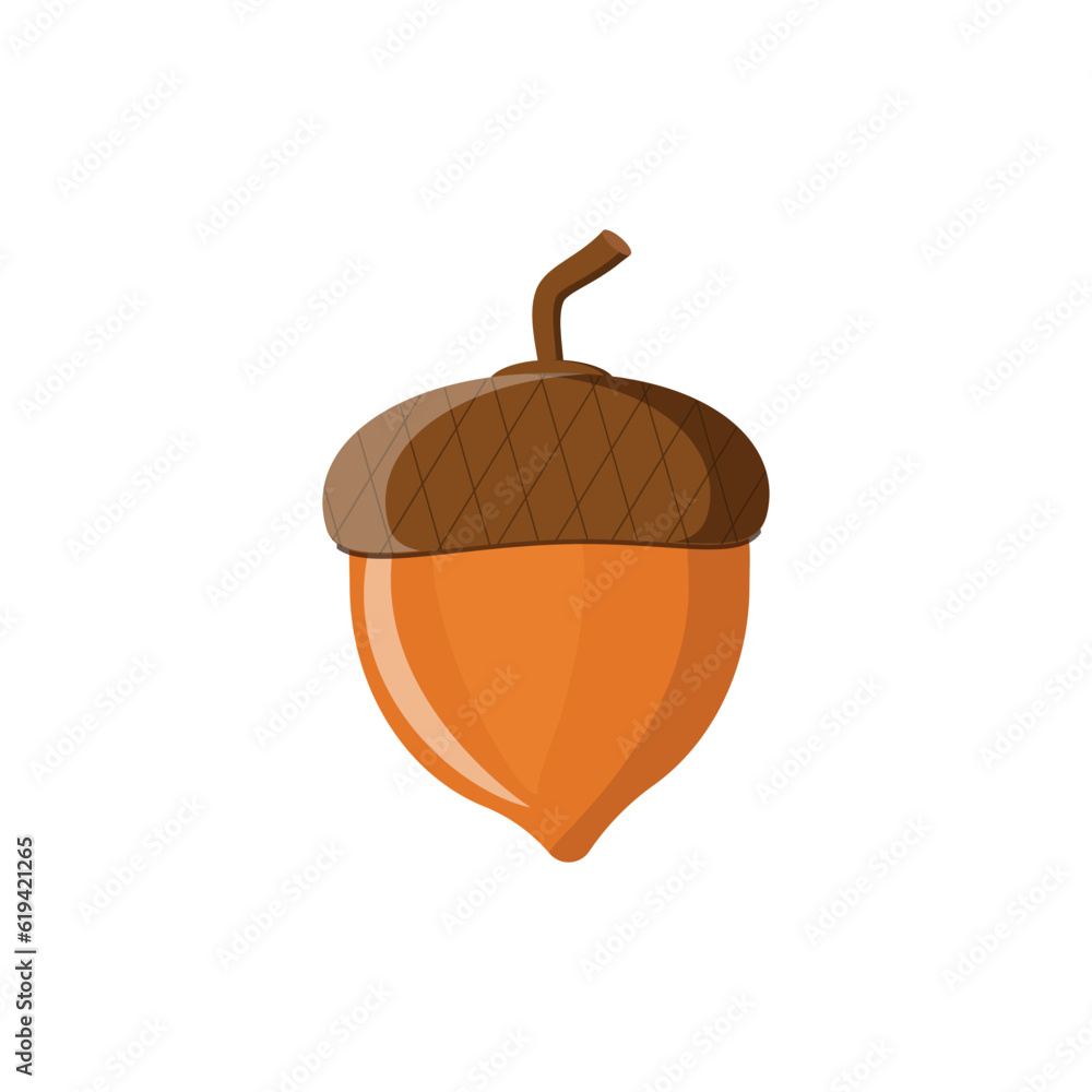 Ripe acornin the shell, acorn, oak nut, oak, autumn fruit, symbol of autumn. Vector illustration of oak seeds