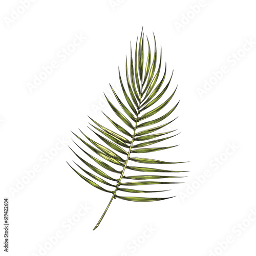 Hand drawn green palm leaf sketch style, vector illustration