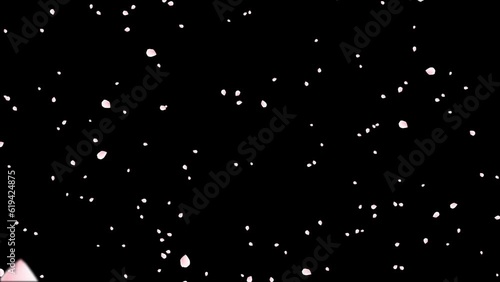 Cherry Blossom(Sakura) Petals Falling with alpha channel for overlays
