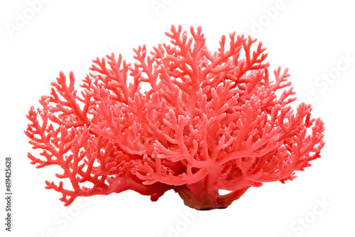 Coral on transparent background  PNG . Generative AI.