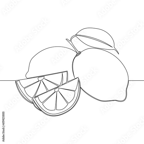 Continuous line drawing Lemon lime fruits icon vector illustration concept