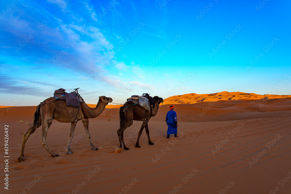 Fototapeta premium Morocco. Merzouga. Camel caravan through the sand dunes in the Sahara Desert