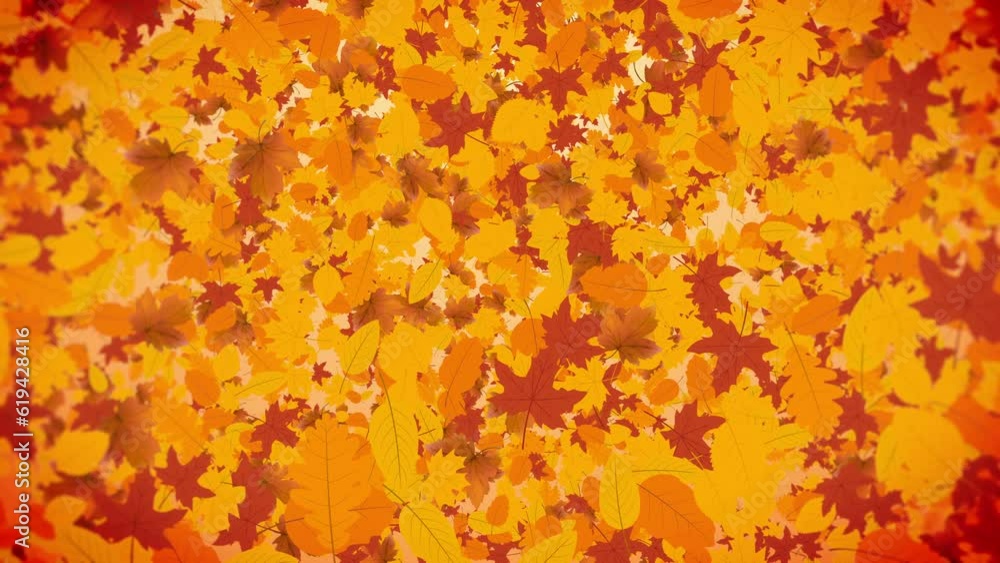 Autumn background with autumn leaves falling loop