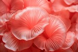 Delicate Mushroom Close Up (Generative Ai)