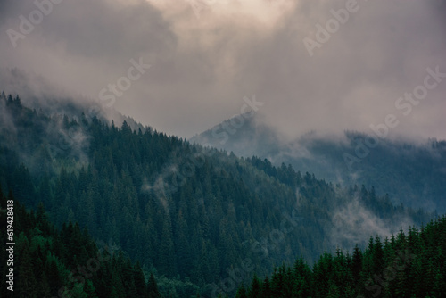 fog covering the peaks of the mountain coniferous forest, the concept of mystery. High quality photo