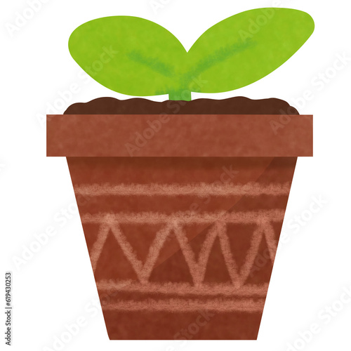 Drawing of sprout seedlings...
