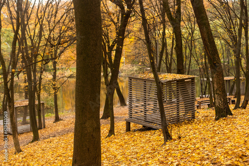 Small wooden picnic house in autumn forest on background of falling yellow leaves in forest.