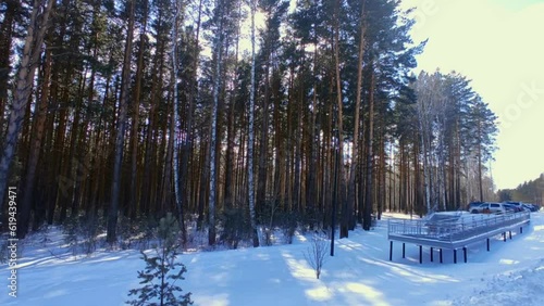 Spring forest with snow in bright sun