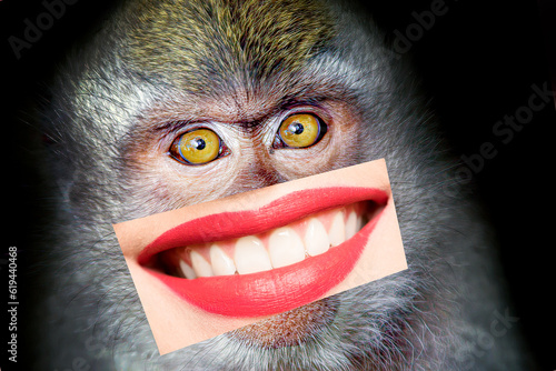 Εκτύπωση καμβά A comical montage of a primate with feminine pucker: A lighthearted and entertaining composition fusing the lively expressions of a primate's face with the alluring touch of a feminine pucker