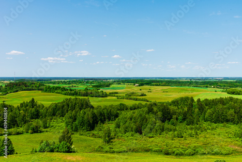 Summer rural lanscape with trees,forest cloudy summer sky. warm beautiful summer day. Summer background.