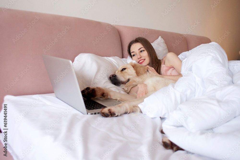 cute girl lies in bed with golden retriever dog and looks into laptop, woman with pet goes to bed and uses computer cute girl lies in bed with golden retriever dog and looks into laptop, woman with pet goes to bed and uses computer