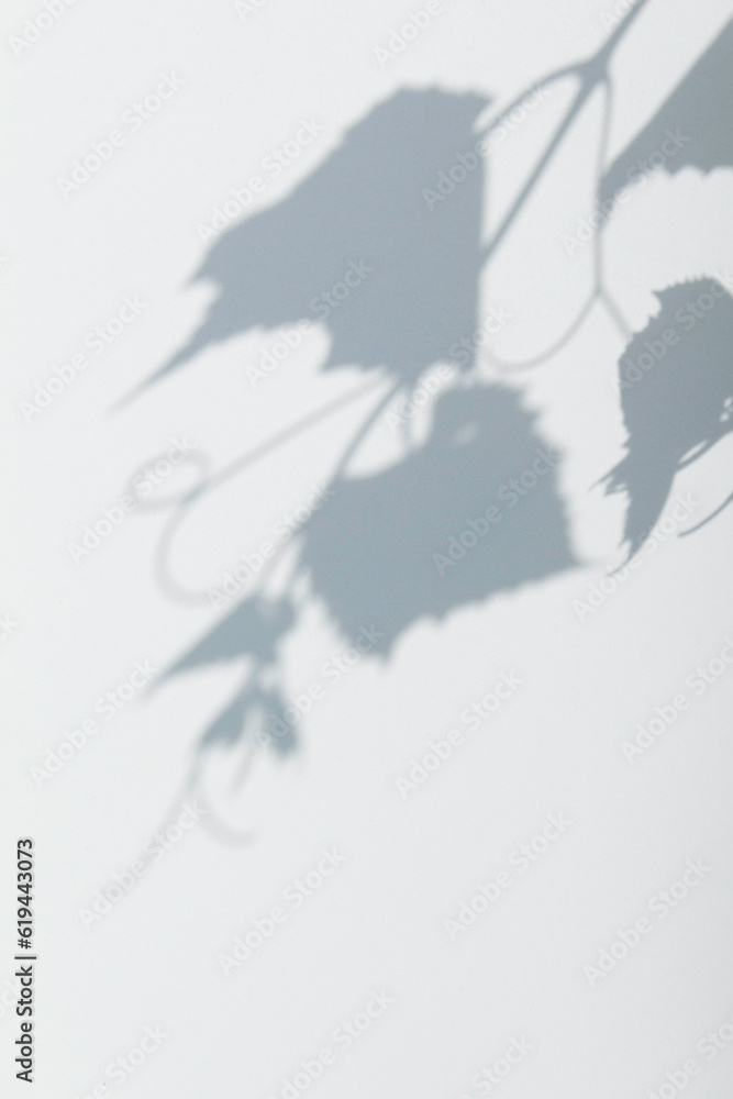 Shadows of grape leaves on plastic Shadows of grape leaves on plastic