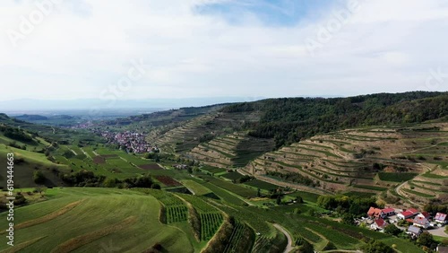 Drone aerial view of Schelingen am Kaiserstuhl with view of the vineyards. Schelingen, Vogtsburg am Kaiserstuhl, Breisgau, Black Forest, Freiburg, Baden-Wuerttemberg, Germany, Europe photo