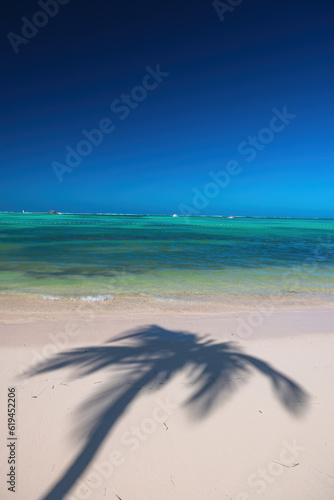 Exotic island beach with palm trees on the Caribbean Sea shore, summer tropical background, vertical nature landscape