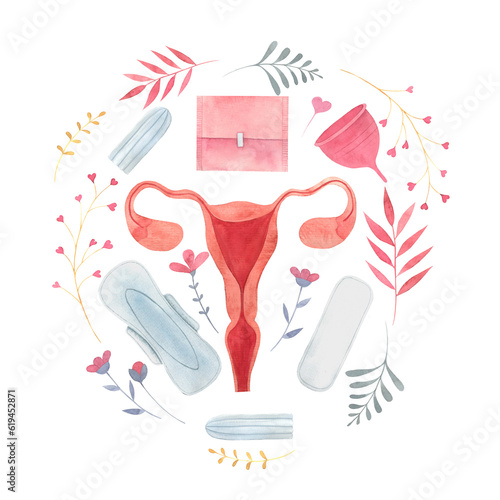 watercolor illustration uterus, feminine hygiene items, sanitary napkin, tampon, menstrual cup. hand drawn isolated picture on the topic of female health and hygiene