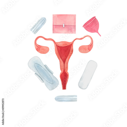 watercolor illustration uterus, feminine hygiene items, sanitary napkin, tampon, menstrual cup. hand drawn isolated picture on the topic of female health and hygiene