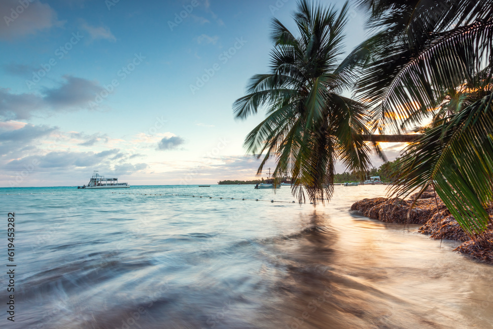 Exotic island beach with palm trees on the Caribbean Sea shore, summer tropical holiday. Dominican Republic