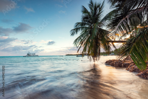 Exotic island beach with palm trees on the Caribbean Sea shore, summer tropical holiday. Dominican Republic