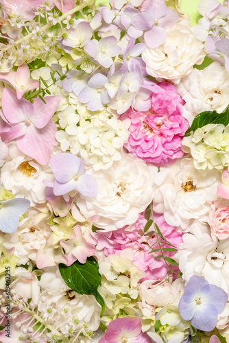 Delicate blooming roses and hydrangea flowers. Blooming pastel flowers, festive floral background.