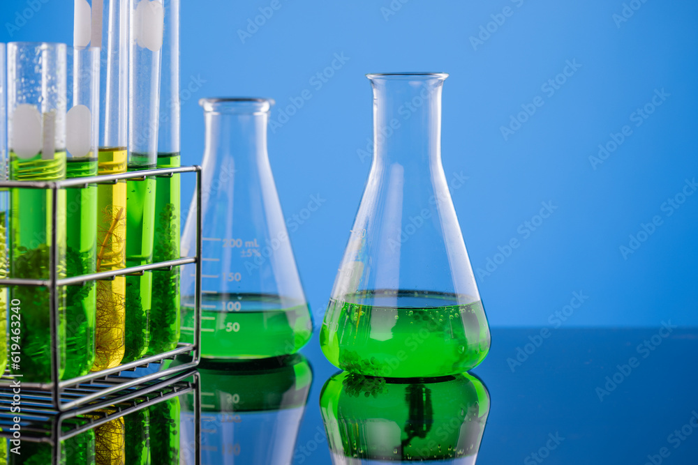 Algae fuel biofuel industry lab researching for alternative to fossil algae fuel or algal biofuel. Algae fuel biofuel industry lab researching for alternative to fossil algae fuel or algal biofuel.