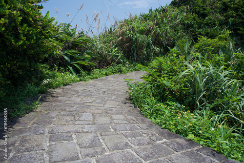 low angle view of stone pathway