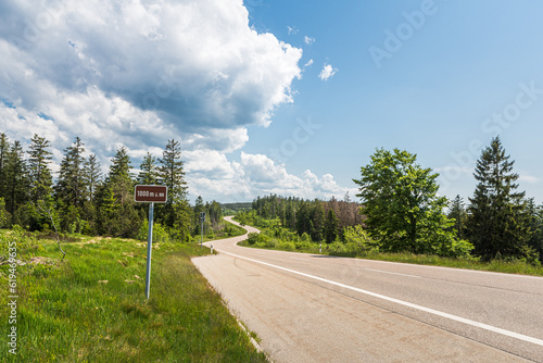 Black Forest High Road, Baden-Wuerttemberg, Germany photo