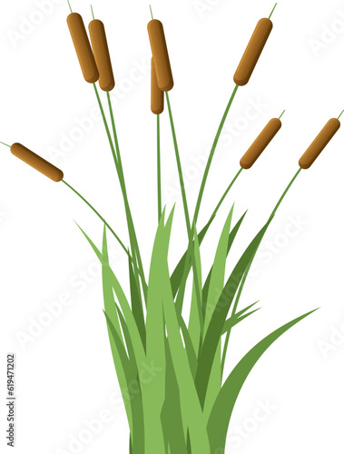 Grass with cattail clipart