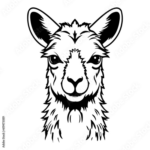 Llama Face and Head Clipart, Alpaca animal logo, portrait of a Llama