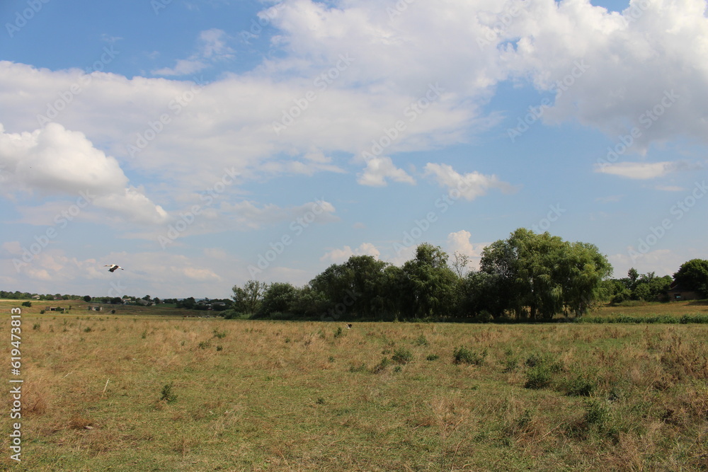 Obraz premium landscape with sky