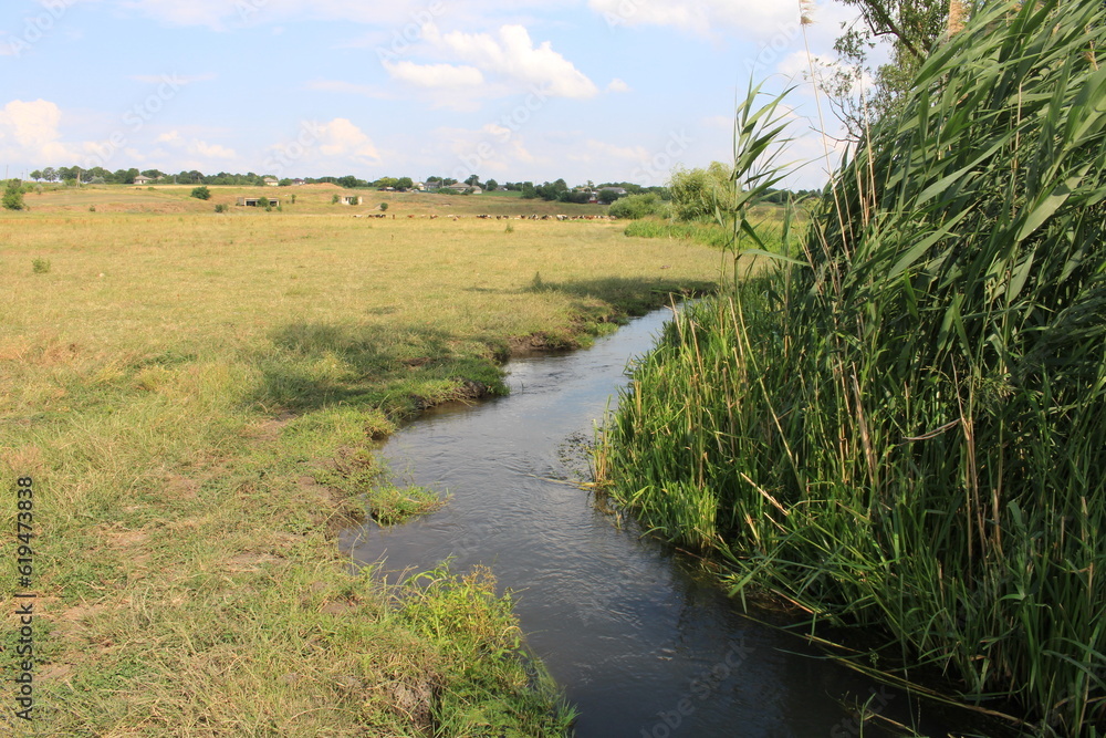 landscape with river