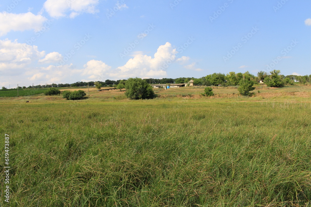 field and blue sky