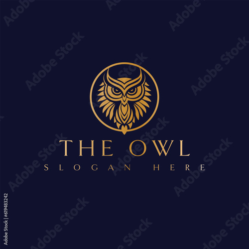 The owl vector logo design. Strong owl logotype. Bird logo template.