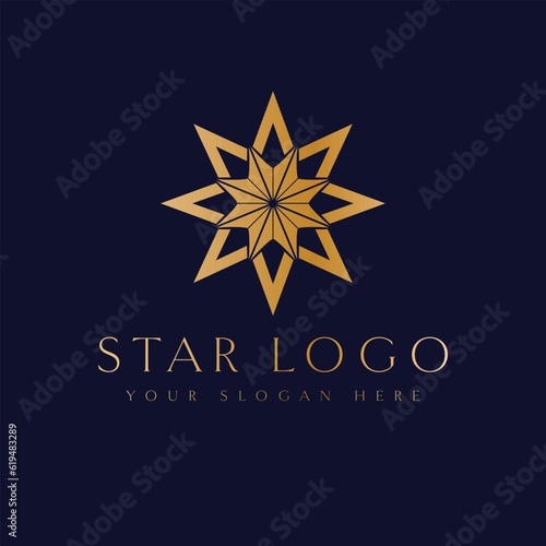 Stylish star vector logo, offering a clean and geometric design for business or beauty-focused branding.