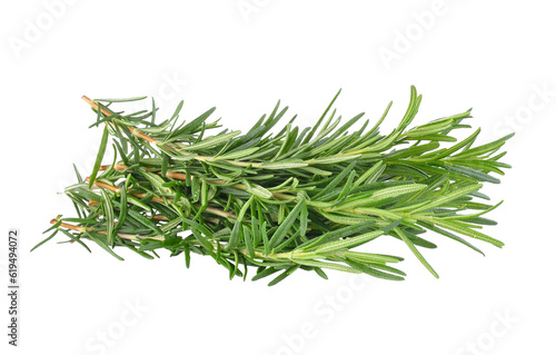 rosemary isolated on transparent png photo