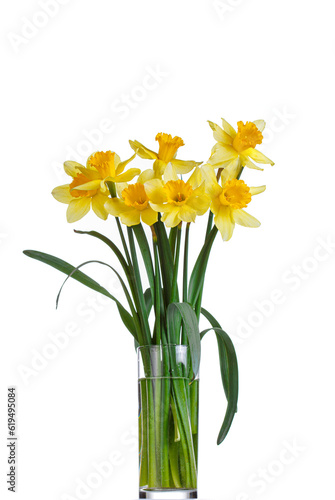 Fototapeta Naklejka Na Ścianę i Meble -  beautiful yellow flowers daffodils in a vase on a white background