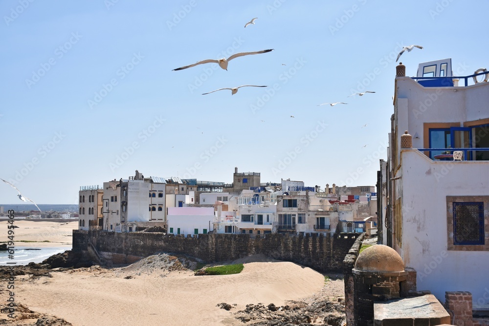 Sea gulls flying around the old wall at the medina of Essaouria, Morocco