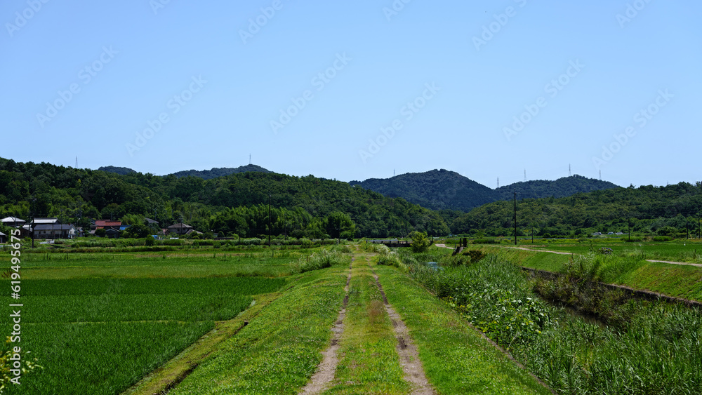 日本の山々　広葉樹　針葉樹　田舎の風景