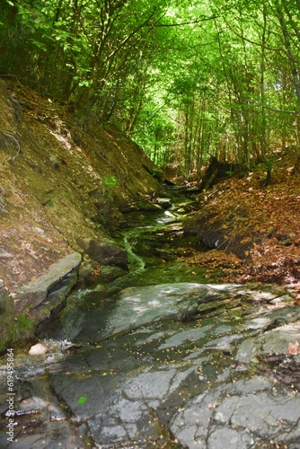 Scenic waterfall 