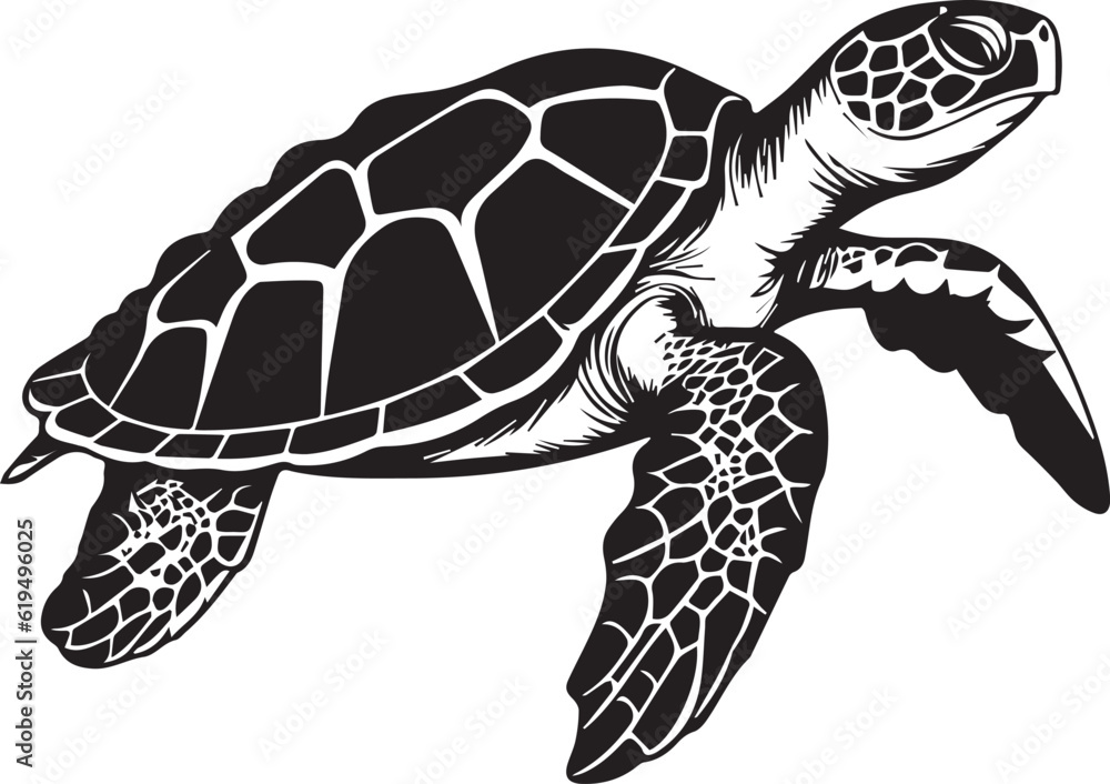 Obraz premium Turtle Tortoise Reptile Water Animal