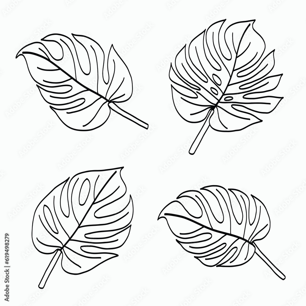 Simplicity monstera leaf freehand continuous line drawing flat design. Simplicity monstera leaf freehand continuous line drawing flat design.