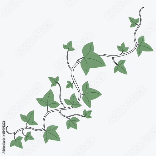 Floral ivy drawing decorative ornament flat design.