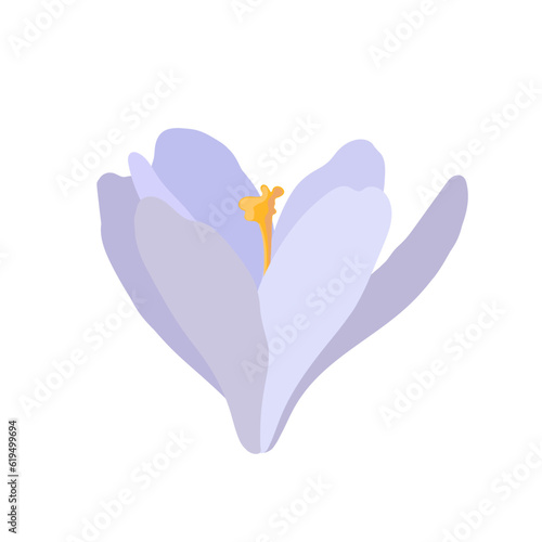 Collection of crocuses and saffrons. A set of spring purple, yellow and white crocuses. Vector illustration of beautiful multicolored flowers