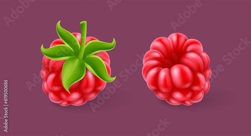 Raspberry berry. Set of Ripe realistic fruits. Vector