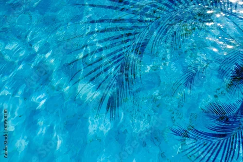 Obraz Palm tree shadow on a Blue water