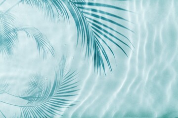 Palm tree shadow on a Blue water