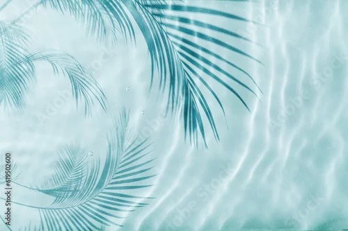 Obraz Palm tree shadow on a Blue water
