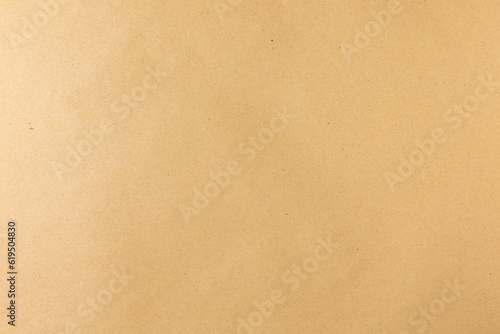 Paper texture background or cardboard surface. For the design  collage  and nature background