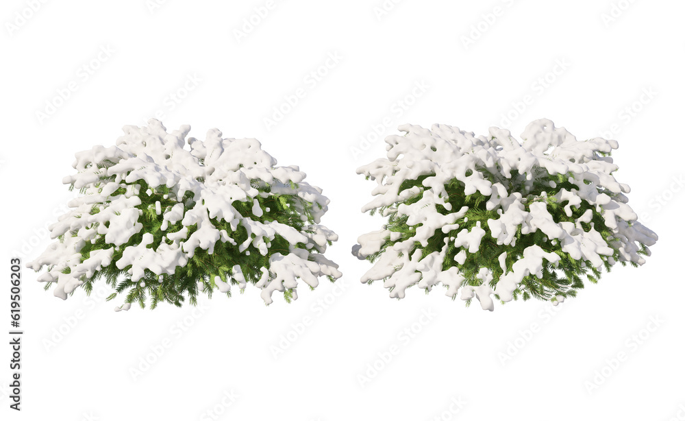 Snow on tree with transparent background Snow on tree with transparent background